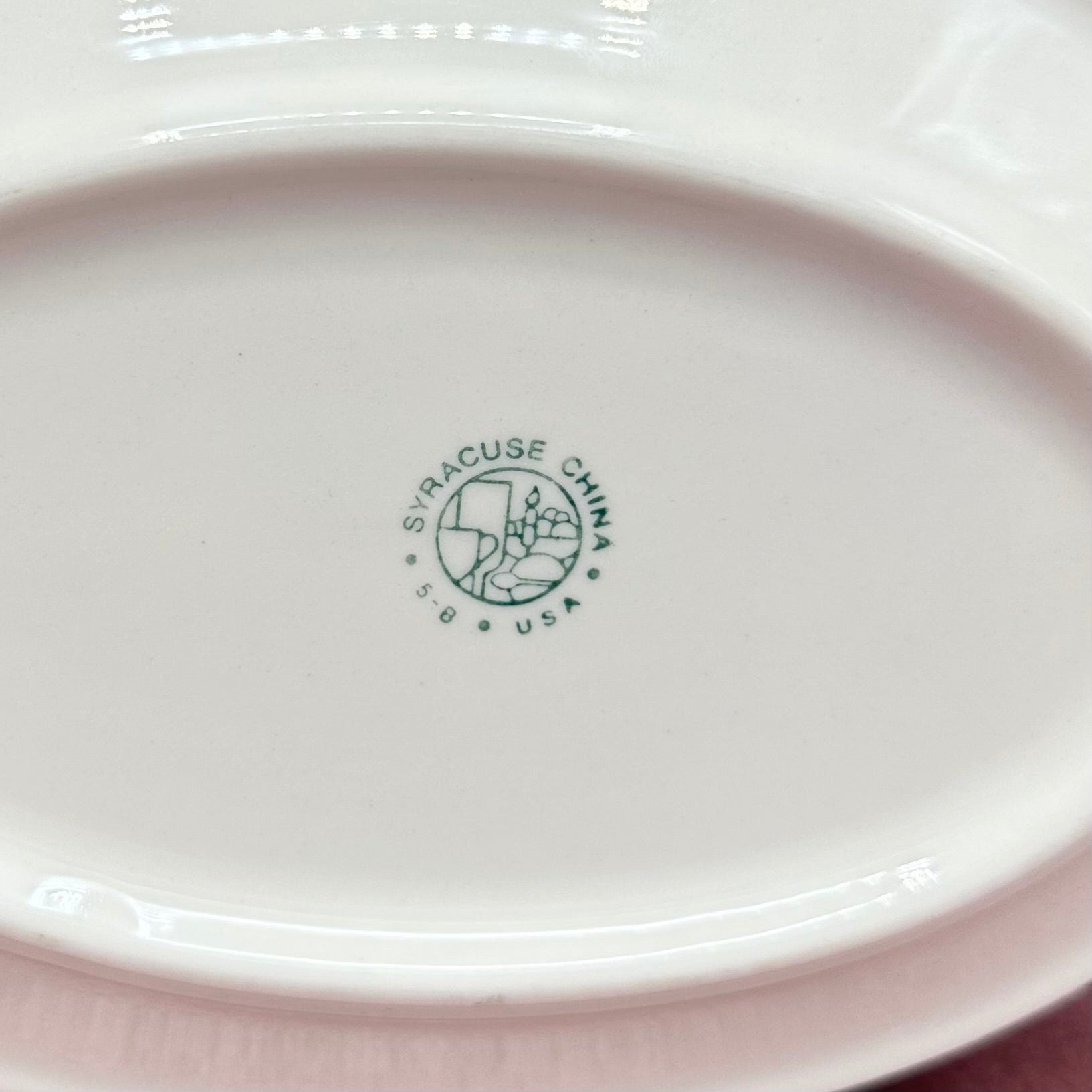 Syracuse China Birds of Paradise Plate