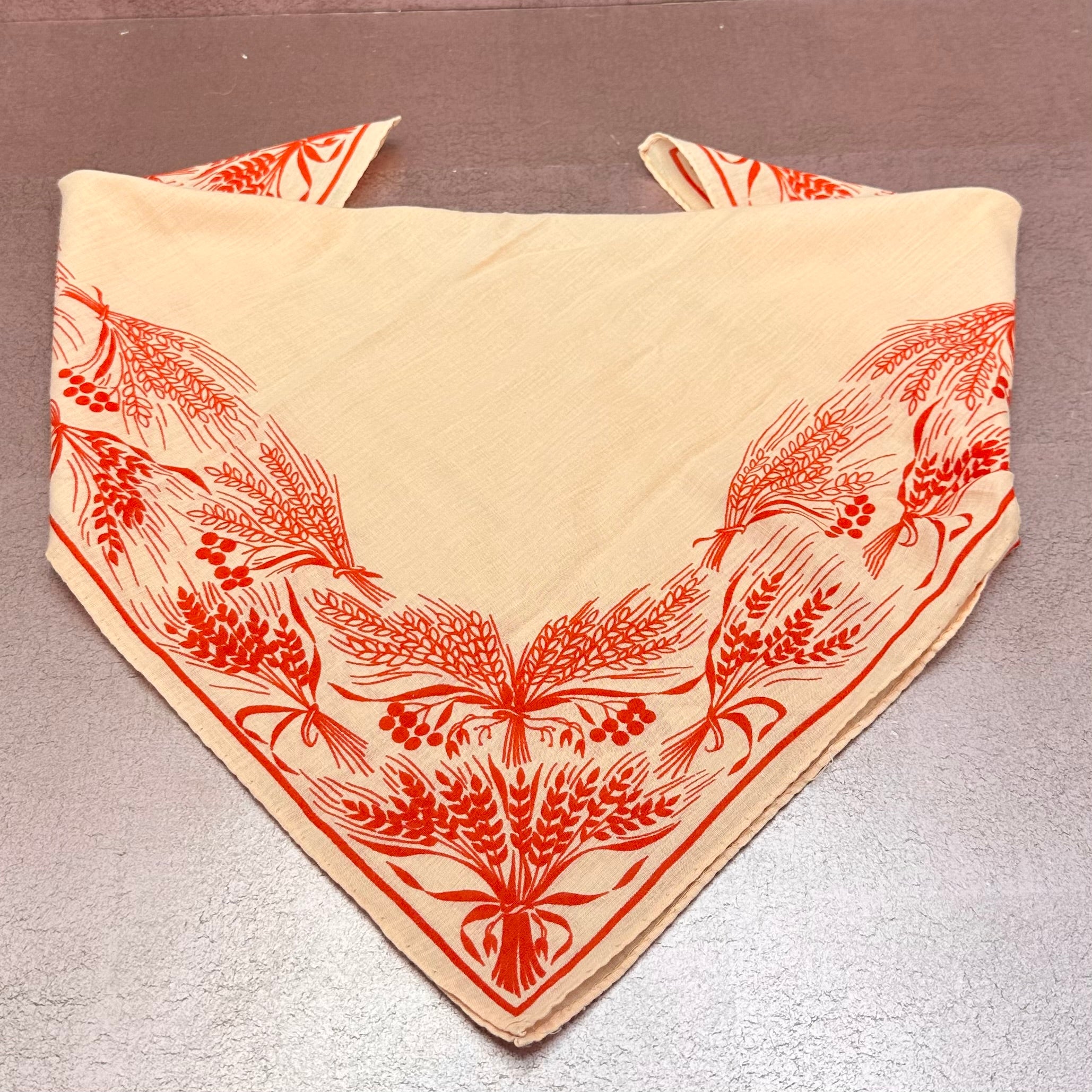 Vintage Peach & Red Bandana
