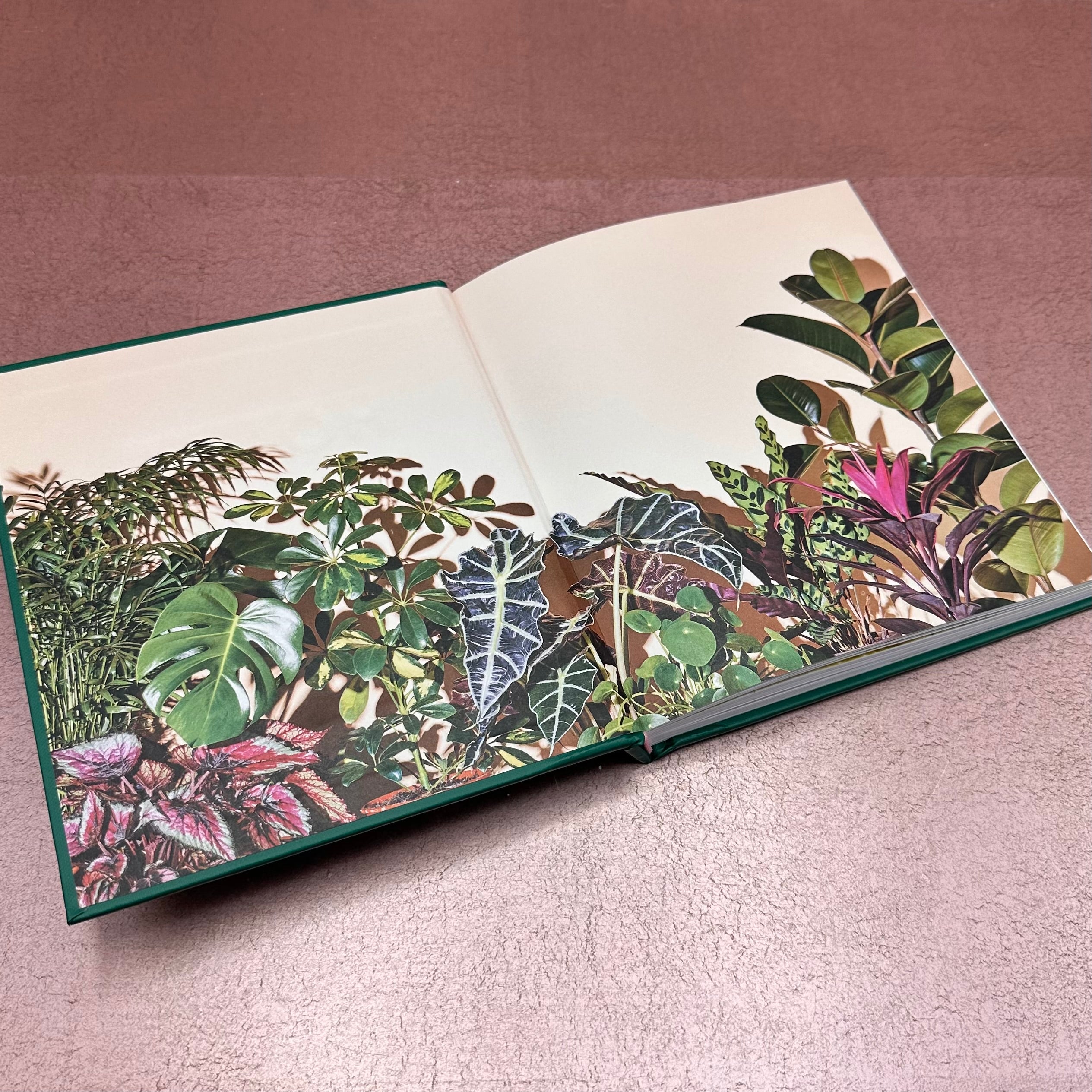 House Plants Book