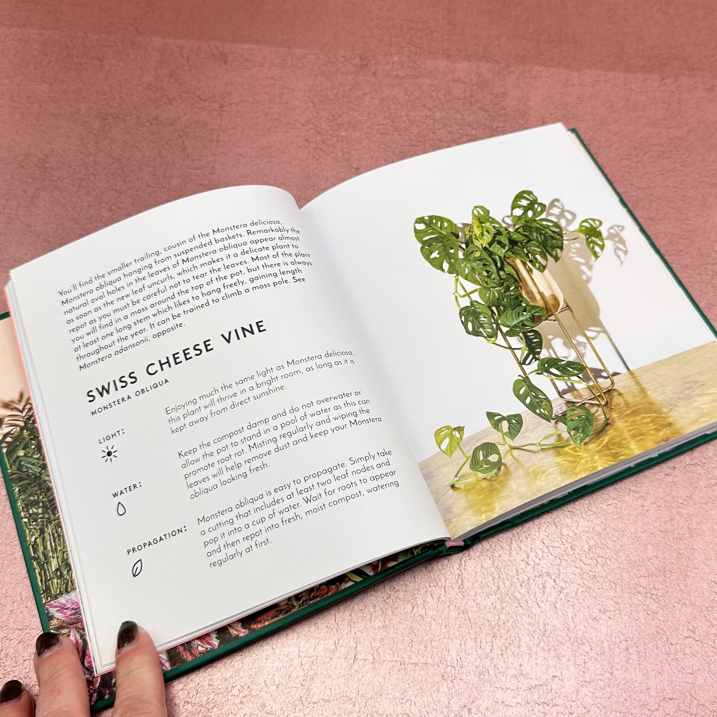 House Plants Book