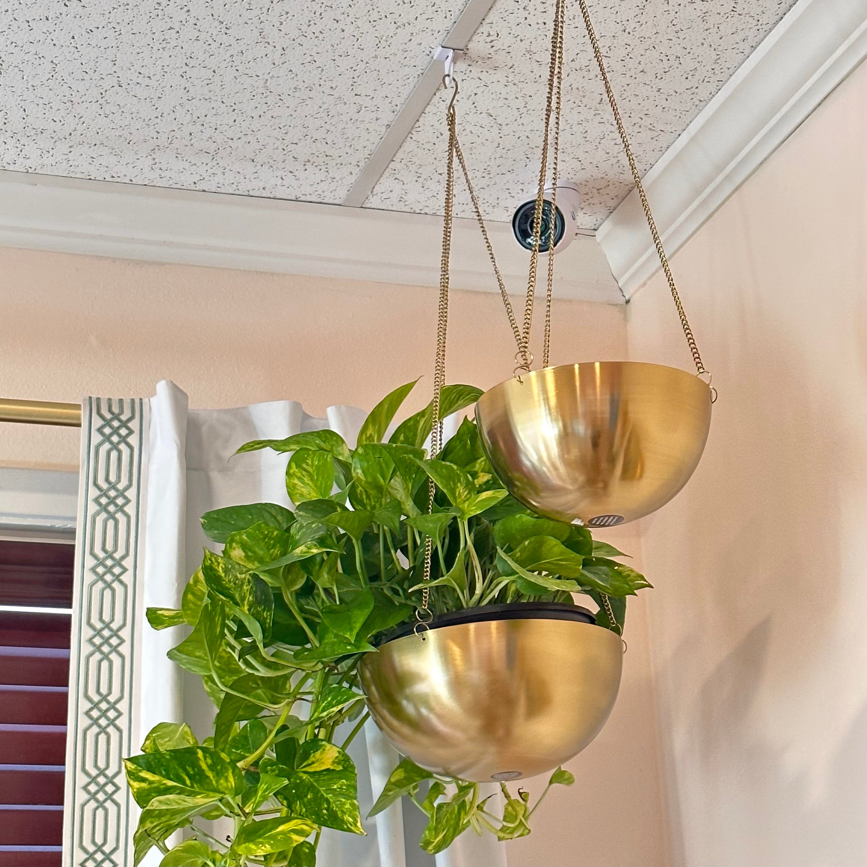 Hanging Planter Small Med or Large
