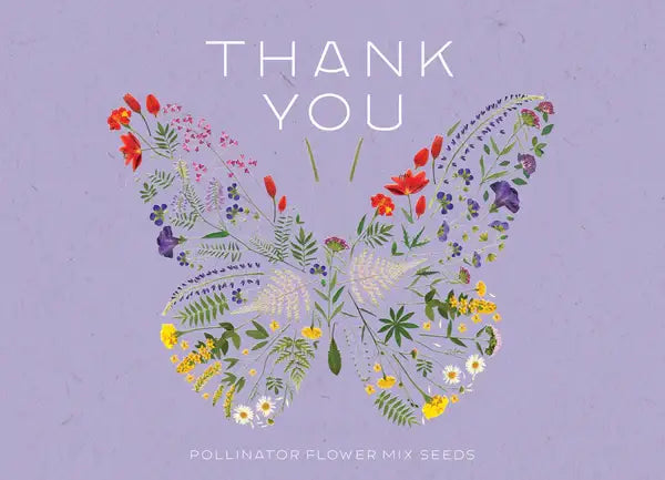 Thank You Butterfly Pollinator - Pollinator Flower Mix Seed