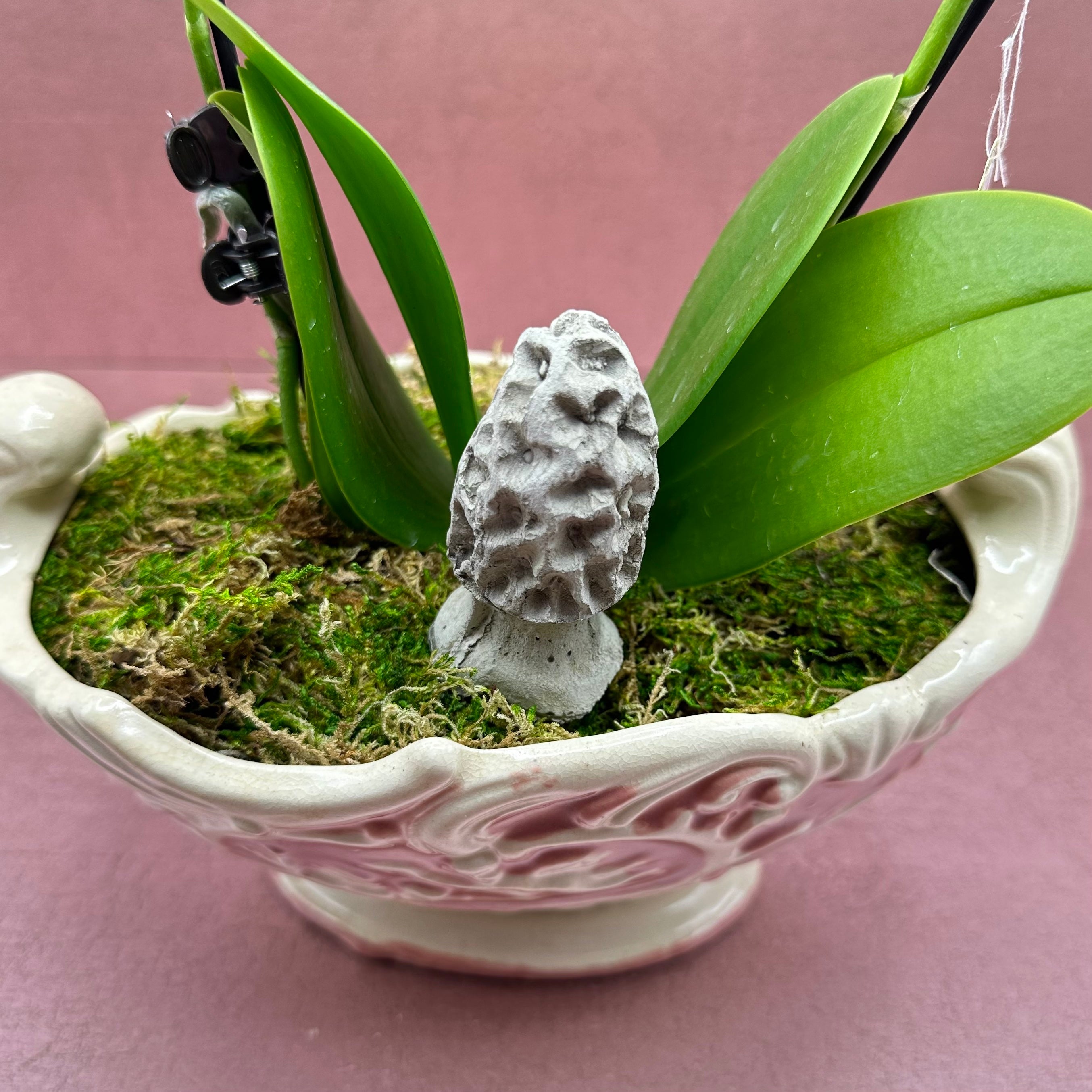 Concrete Morel Mushroom Plant Stakes