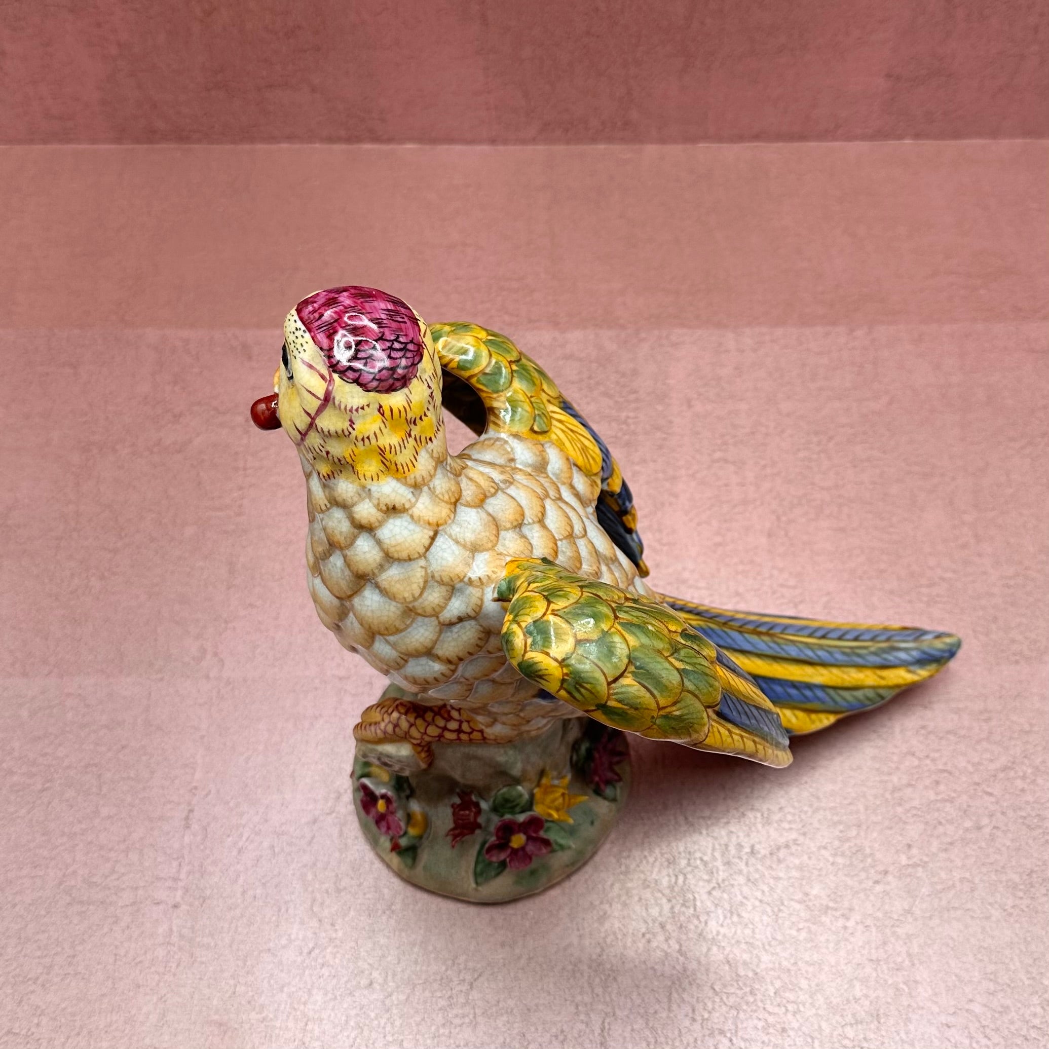 Large Colorful Parrot