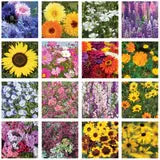 Help Pollinators Kraft Hummingbird Pollinator Mix