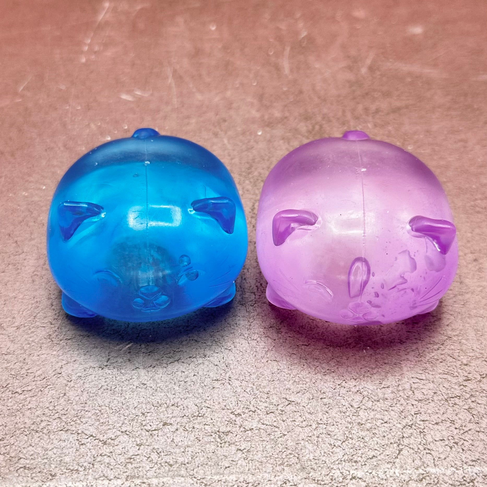 Squishy Cats