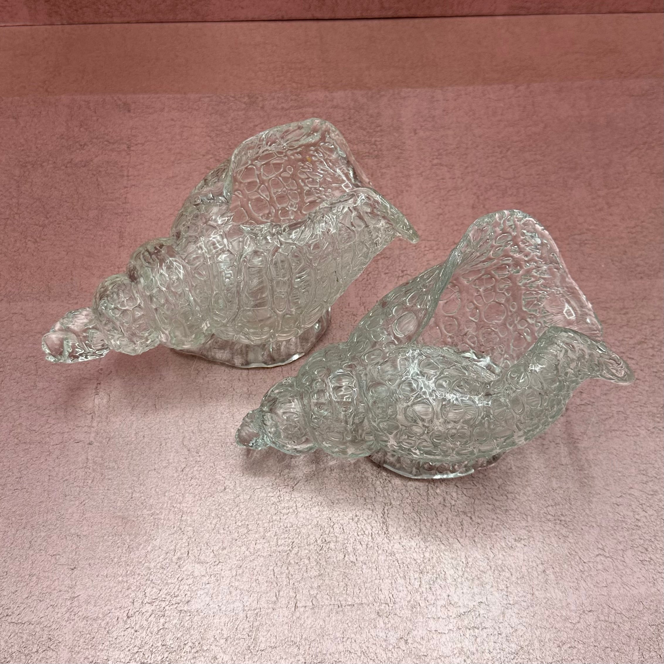 Glass Shell Planter