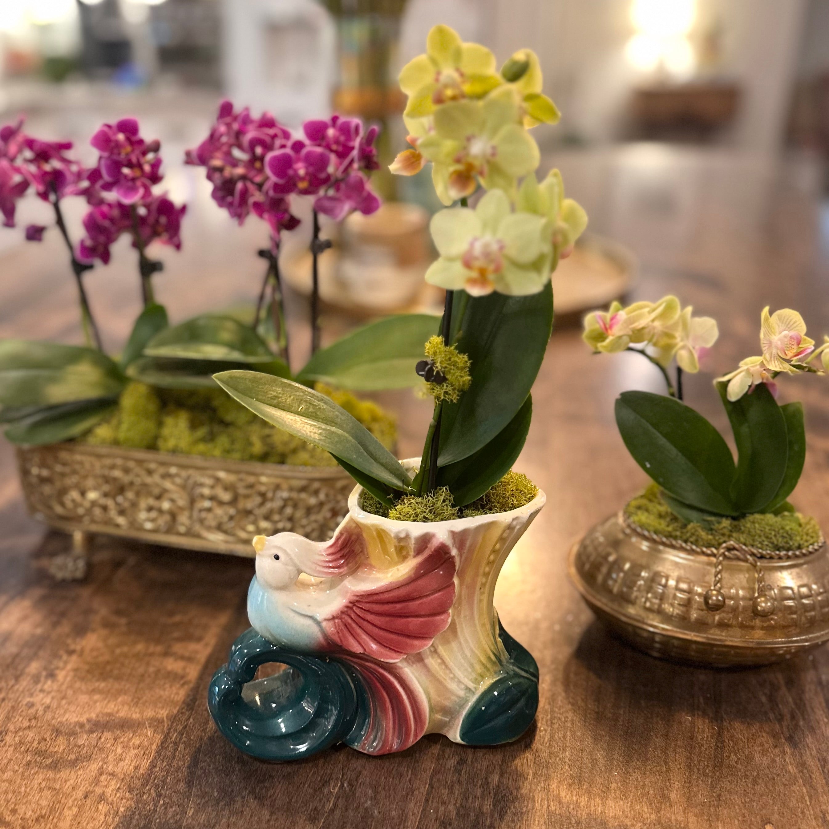 Vintage Bird of Paradise Planter