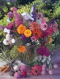 Thank You Butterfly Pollinator - Pollinator Flower Mix Seed
