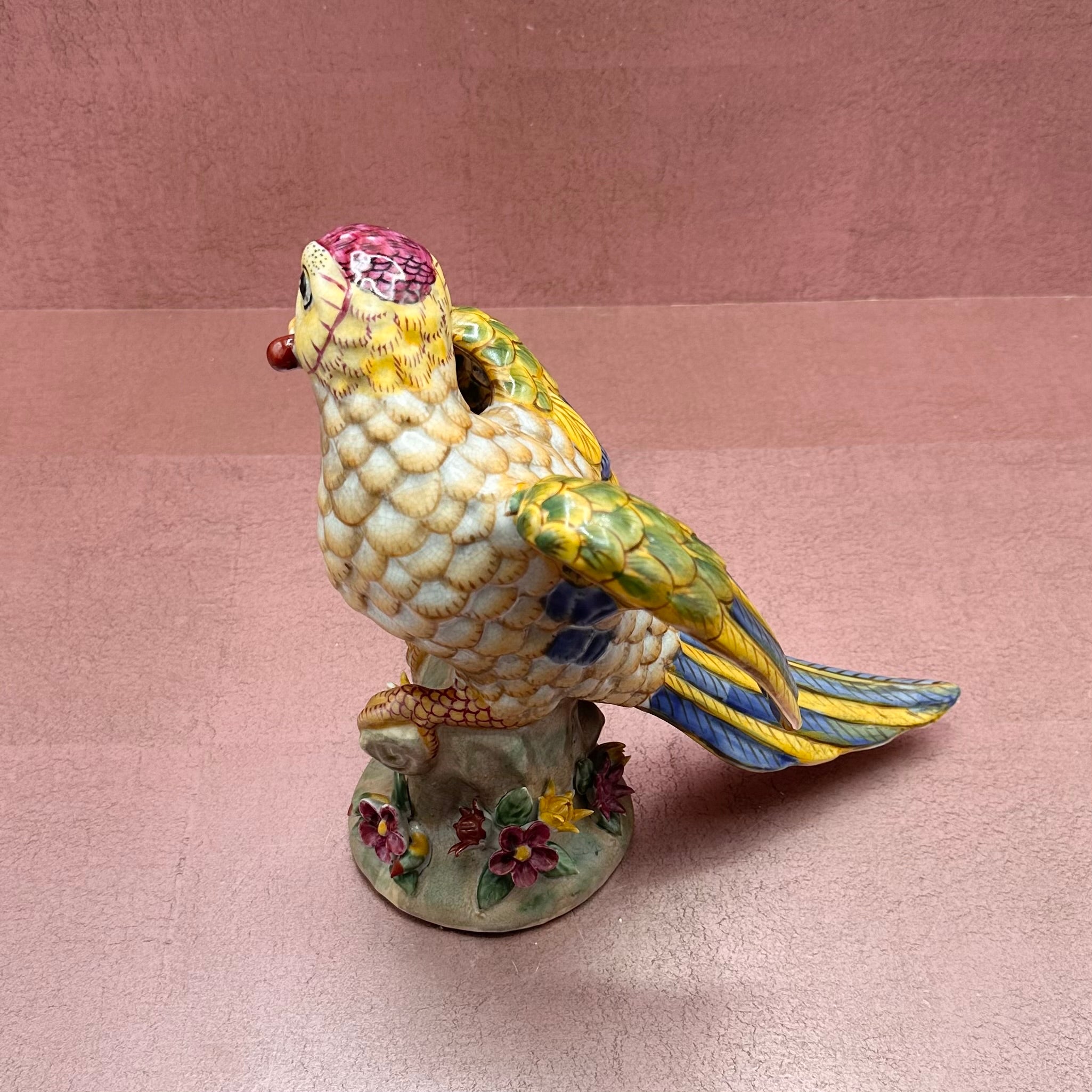 Large Colorful Parrot