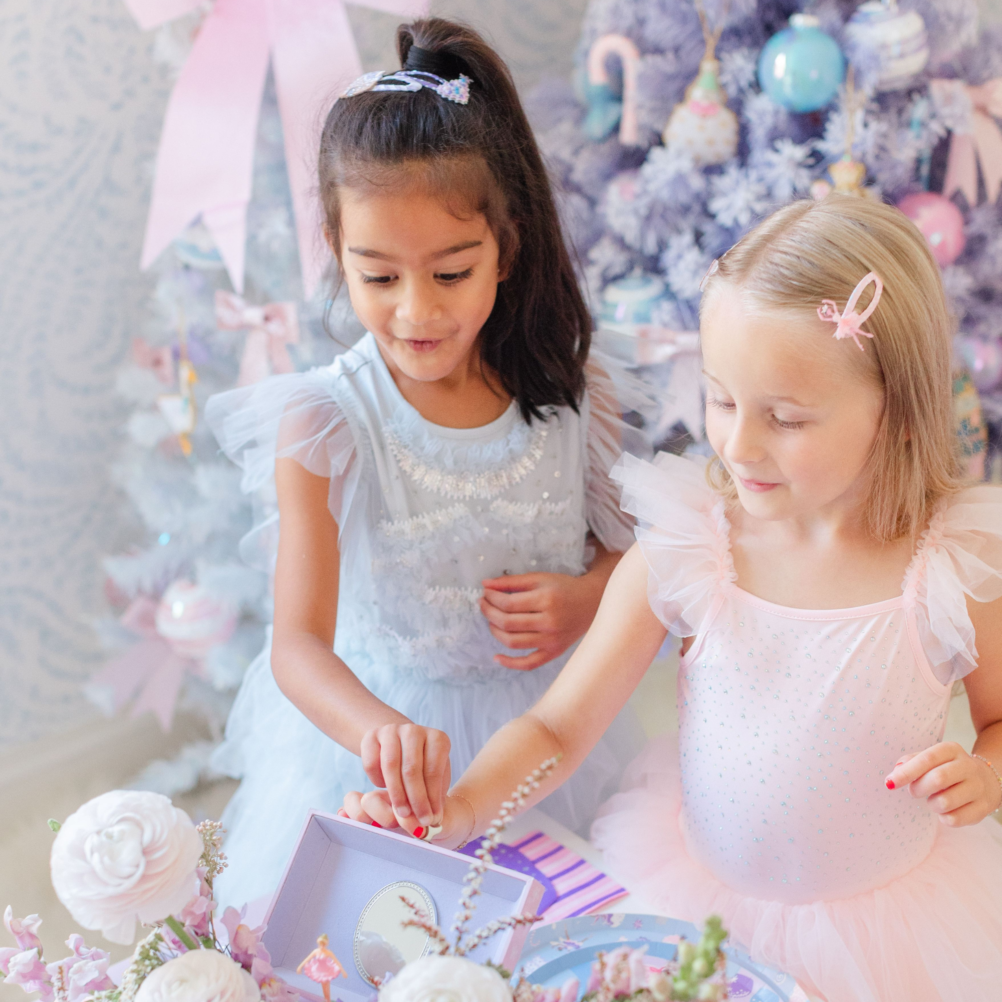 Sugarplum Fairy & Nutcracker Clip Set