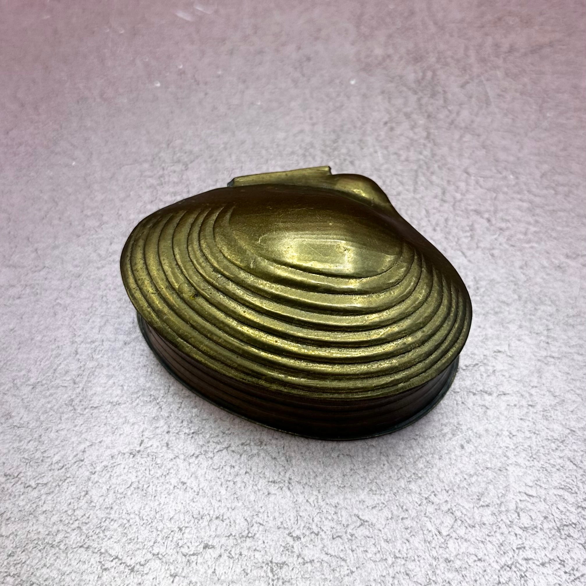 Brass Lidded Clam Shell