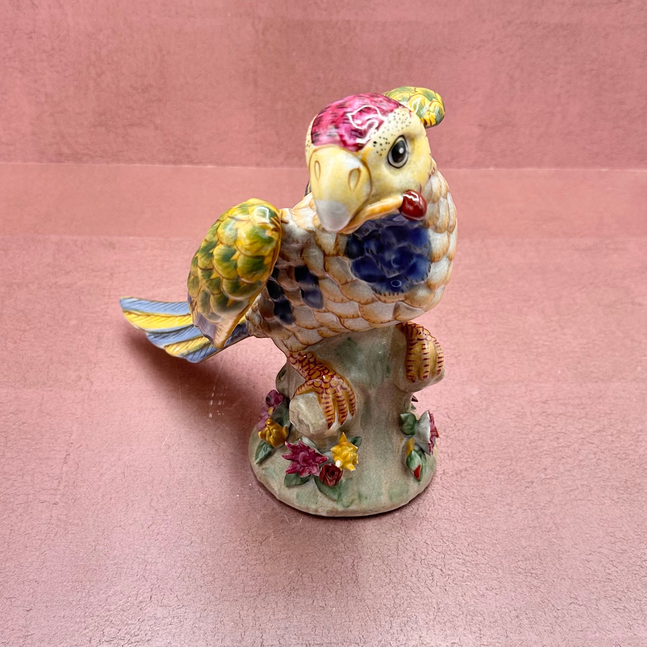 Large Colorful Parrot