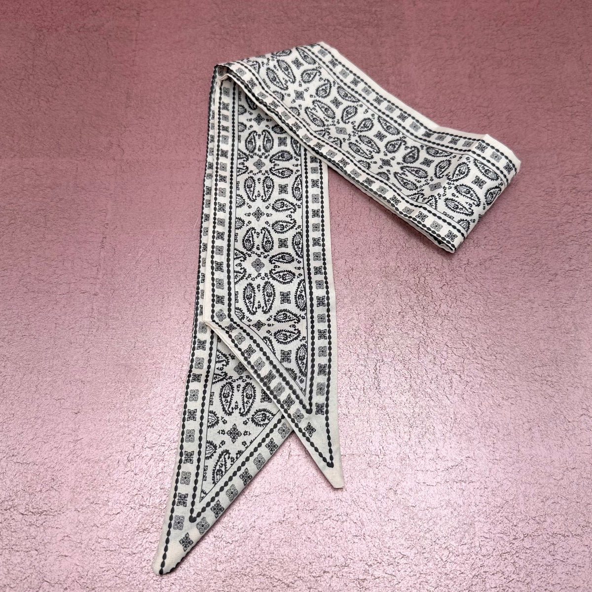 Paisley Bandana Print Twilly Dwell and Adorn